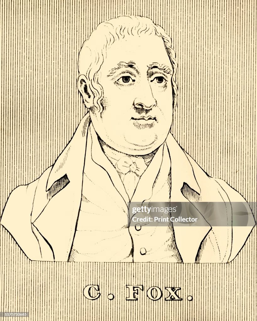C. Fox