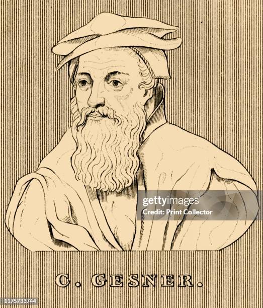 Geesner Conrad Gessner Photos and Premium High Res Pictures - Getty Images