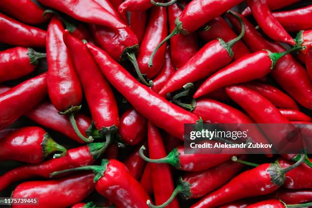 red hot chili peppers. stack of vegetables. - pimenta de caiena imagens e fotografias de stock
