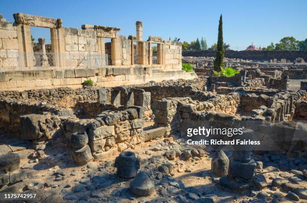 ruins of capernaum - galillee stock pictures, royalty-free photos & images