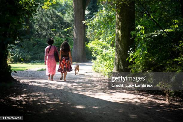two women in the park walking the dog, seen from behind - wandelen nederland stockfoto's en -beelden