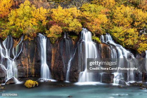 hraunfossar waterfall at hvita river, borgarfjordur district, iceland - hraunfossar stock pictures, royalty-free photos & images