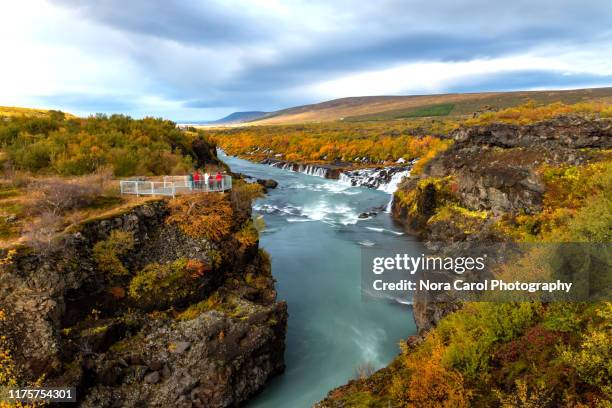 hraunfossar waterfall at hvita river, borgarfjordur district, iceland - hraunfossar stock pictures, royalty-free photos & images