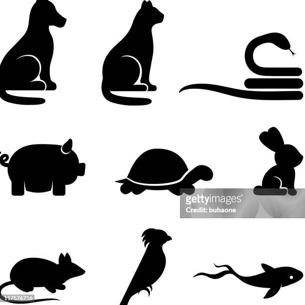 ilustrações de stock, clip art, desenhos animados e ícones de simplificado de arte vetorial royalty-free, preto e branco do ícone conjunto - grupo médio de animais