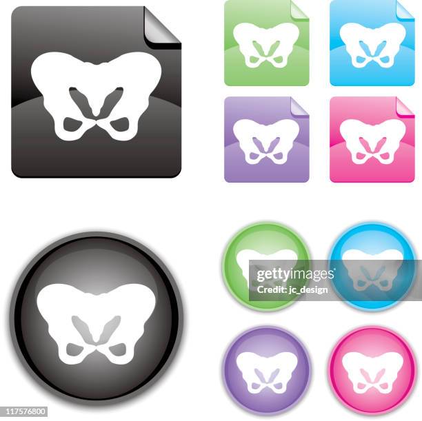 medical icon series - pelvic stock illustrations