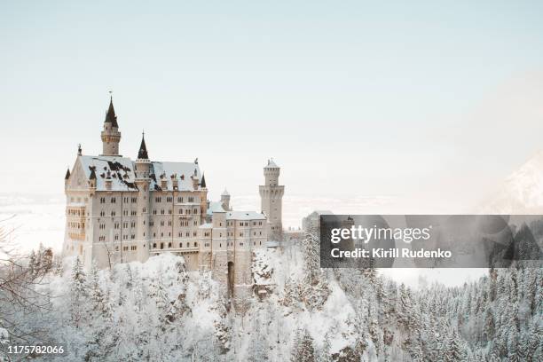 neuschwanstein castle in winter - neuschwanstein winter stock pictures, royalty-free photos & images