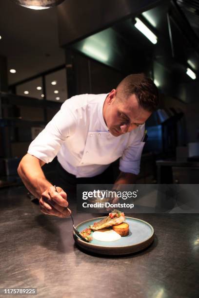 male chef garnishing food - cuca imagens e fotografias de stock