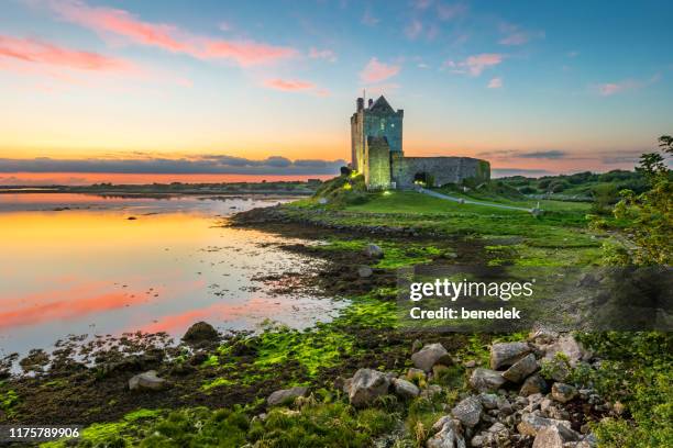 dunguaire castle on shores of galway bay ireland - ireland coastline stock pictures, royalty-free photos & images