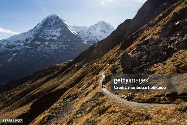 the eiger - eiger stock-fotos und bilder