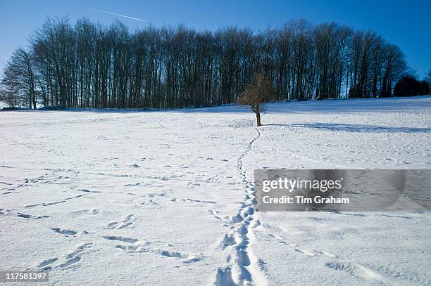 Winter snow scene in The Cotswolds, UK