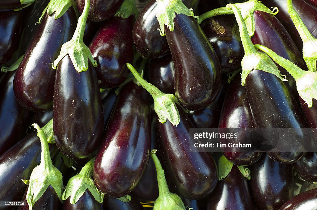 Eggplant Aubergines at Food Market, France