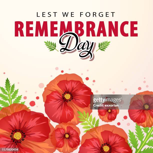 remembrance day ceremony - armistice stock illustrations
