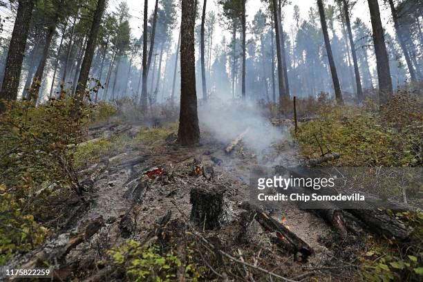 Log piles smolder after being harvested and burned as part of the Marshall Woods Restoration Project at the Rattlesnake National Recreation Area in...