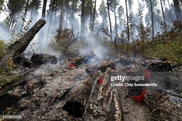 Log piles smolder after being harvested and burned as part of the Marshall Woods Restoration Project at the Rattlesnake National Recreation Area in...