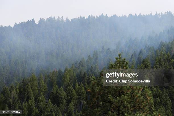 Smoke rises from prescribed burning of log piles, part of the Marshall Woods Restoration Project at the Rattlesnake National Recreation Area in the...