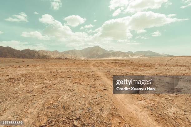 tire tracks through the arid desert - tierra salvaje fotografías e imágenes de stock