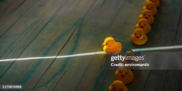 row of yellow rubber ducks in a formal line with one duck breaking free of the line heading towards a shaft of light shining through the darkness, scene set on an old blue and white weathered wooden panel background, conceptually representing water. - rubber ducks in a row stock pictures, royalty-free photos & images