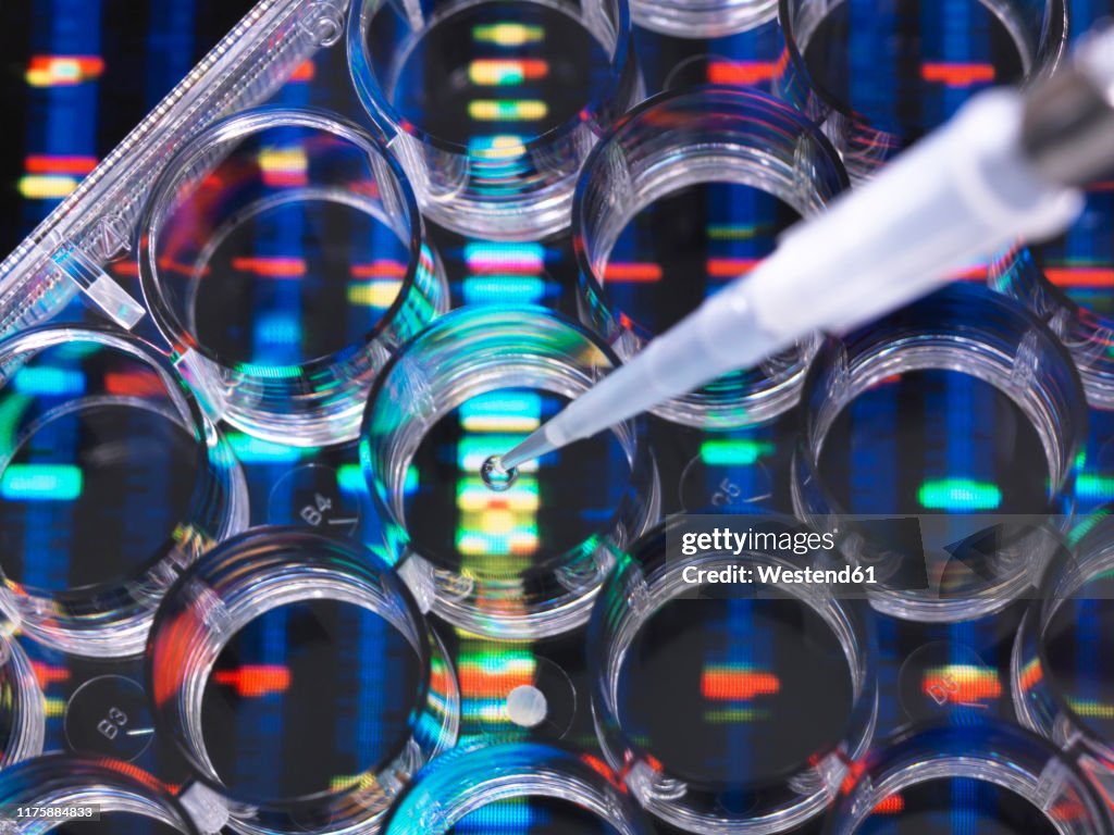Dna Samples Computer Dna Research Samples Of Dna In A Multi Well Plate Ready For Analysis ...