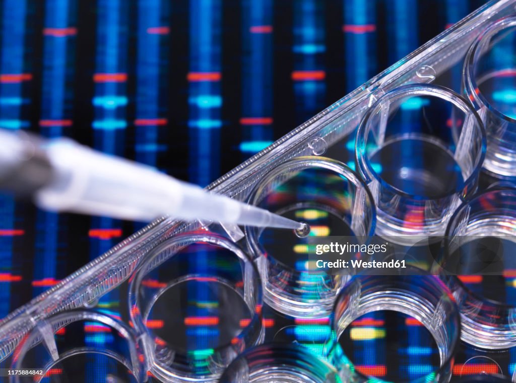 DNA Research, Samples of DNA in a multi well plate ready for analysis with DNA results in the background