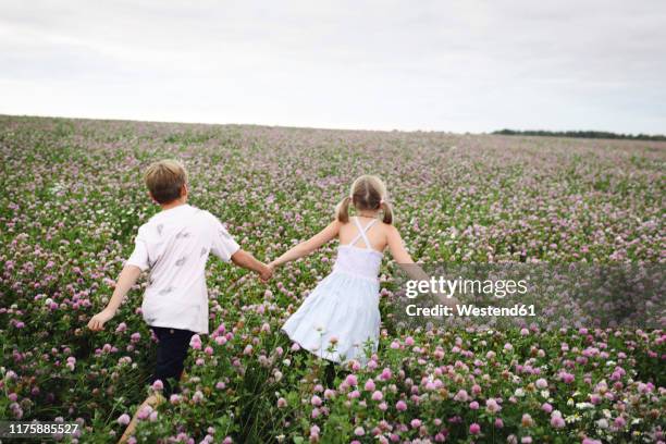 two smiling children running over clover field - clover sprouts stock pictures, royalty-free photos & images