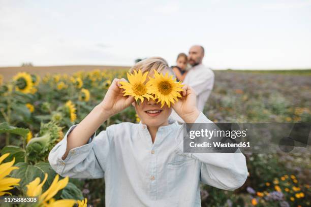 playful boy covering his eyes with sunflowers in a field with family in background - blumen als accessoire stock-fotos und bilder