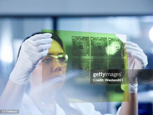 female technician controlling foil printing with circuitry - modern laboratory stock pictures, royalty-free photos & images