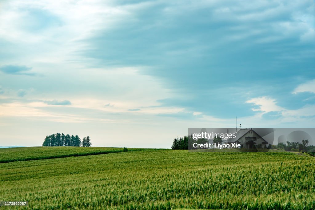 Tranquil scene in Biei