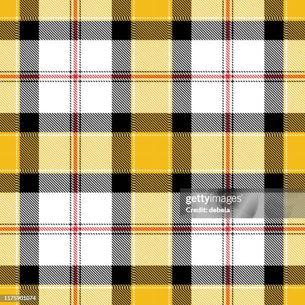 Tarern Pattern 6,717 Scottish Tartan Pattern Stock Photos, High-Res Pictures, and ...