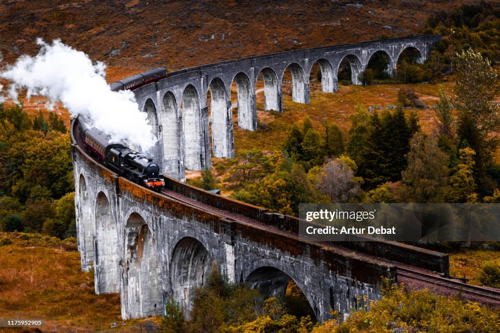Steam train crossing the Glenfinnan bridge with autumn colors in Scotland