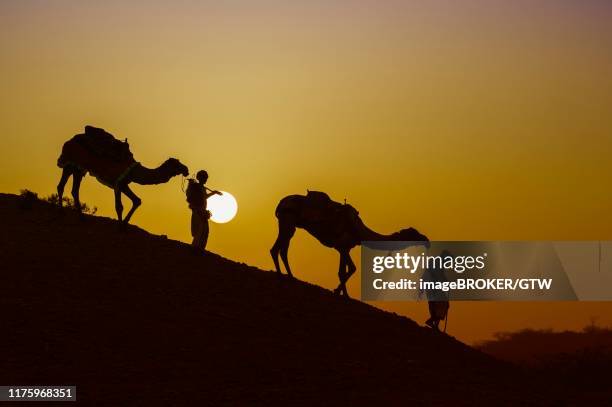 two rabari men going down a dune at sunset, silhouettes, great rann of kutch, gujarat, india - rann of kutch stock pictures, royalty-free photos & images