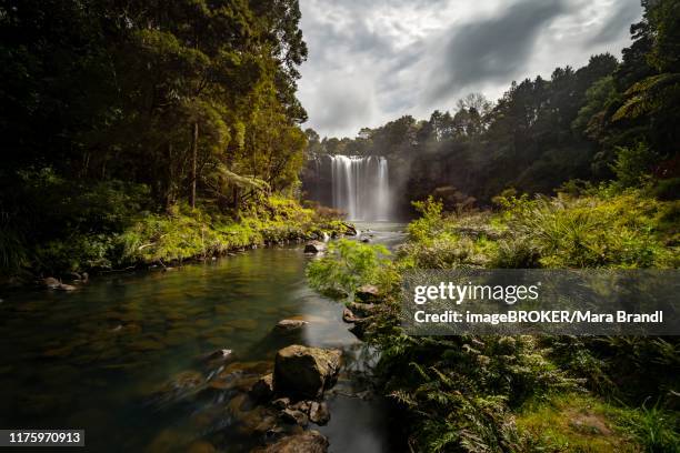 11 Waianiwaniwa River Stock Photos, HighRes Pictures, and Images