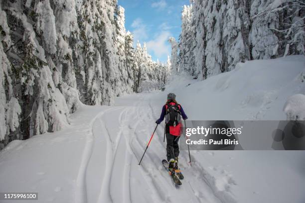 girl with ski, backpack, and pole, on a touring trail with fresh, deep, snow. - ski pole stock-fotos und bilder