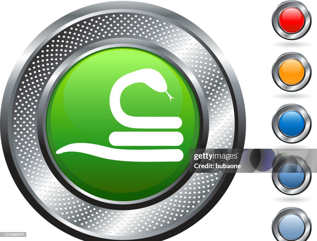 Button Snake Labels Snake Royalty Free Vector Art On Metallic Button High-Res Vector ...
