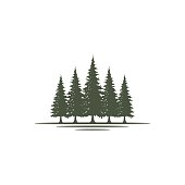 Rustic Retro Vintage Evergreen, Pines, Spruce, Cedar trees design