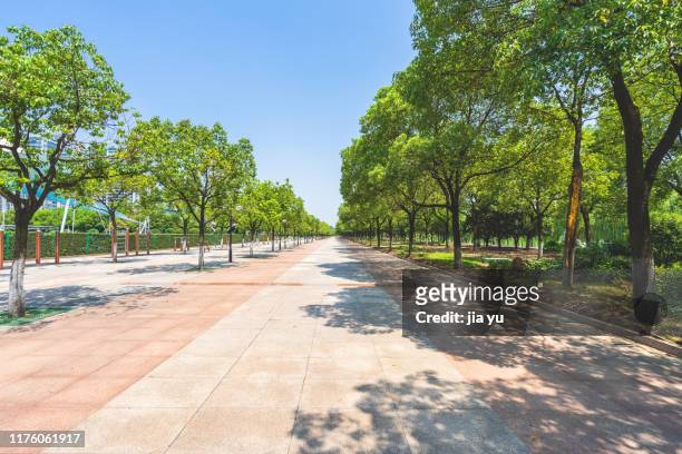 a long pedestrian walkway amidst trees against sky - city footpath stock pictures, royalty-free photos & images