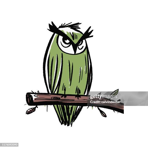owl sitting on a branch pencil drawing - staring outside stock illustrations