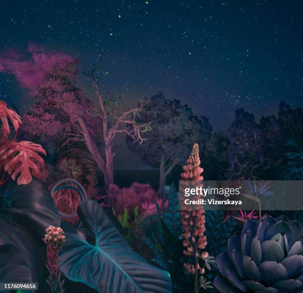 bosque nocturno surrealista - árbol tropical fotografías e imágenes de stock