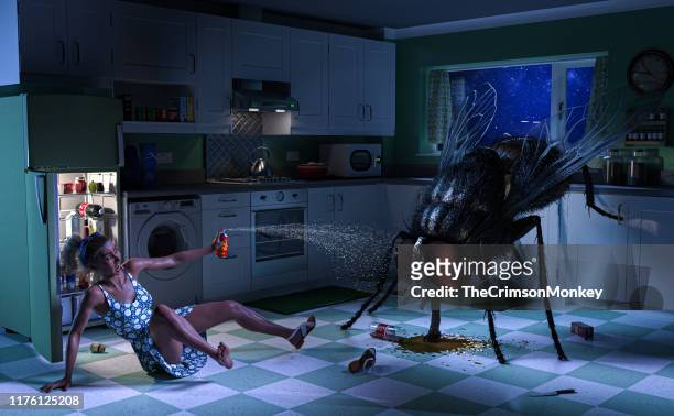 woman battles giant fly in kitchen - infestation imagens e fotografias de stock