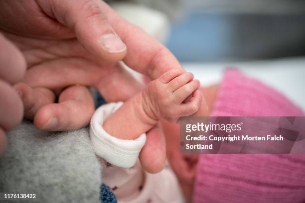tiny little hand - premature baby stock pictures, royalty-free photos & images