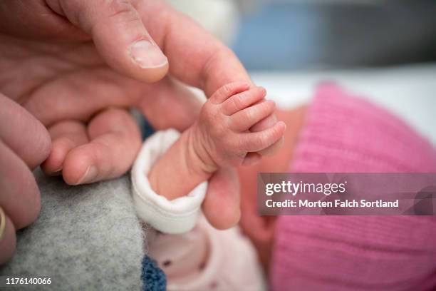 newborn baby holding on to a finger - tiny hands stock-fotos und bilder