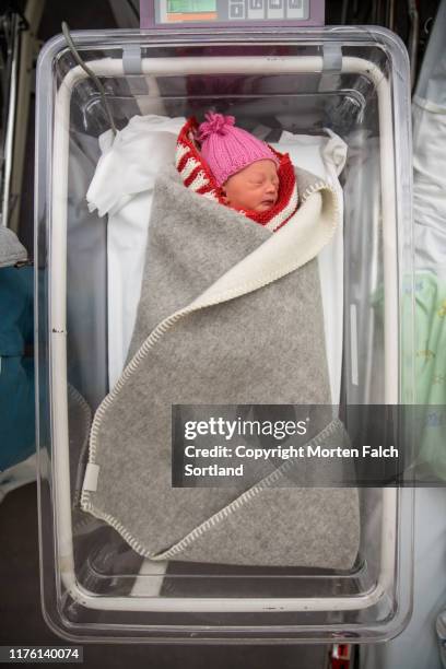 sleeping newborn - hospital cot stock pictures, royalty-free photos & images