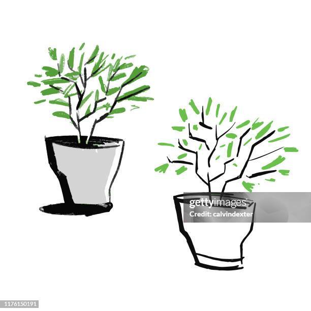 590 Flower Pot Cartoon Stock Photos, High-Res Pictures, and Images ...