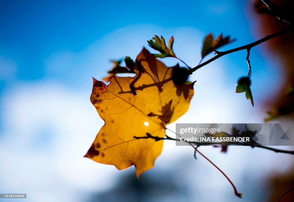 GERMANY-WEATHER-AUTUMN