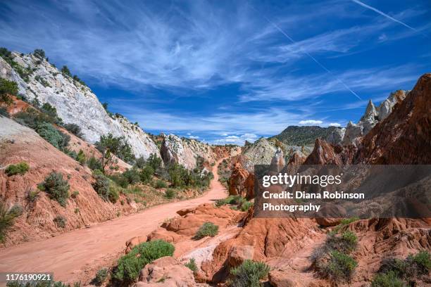 cottonwood canyon road in grand staircase-escalante national monument in southern utah - southern utah v utah stock pictures, royalty-free photos & images