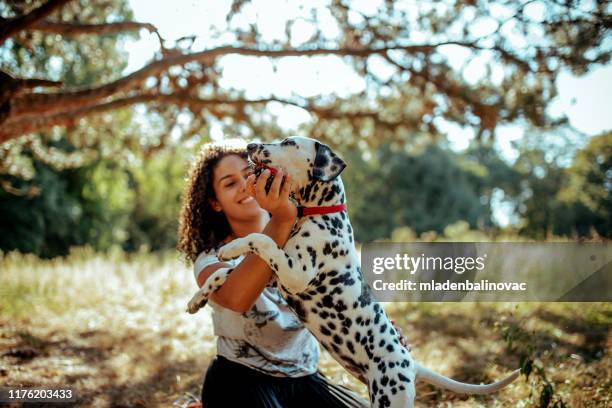 jeune femme avec des chiens - dalmatian dog photos et images de collection