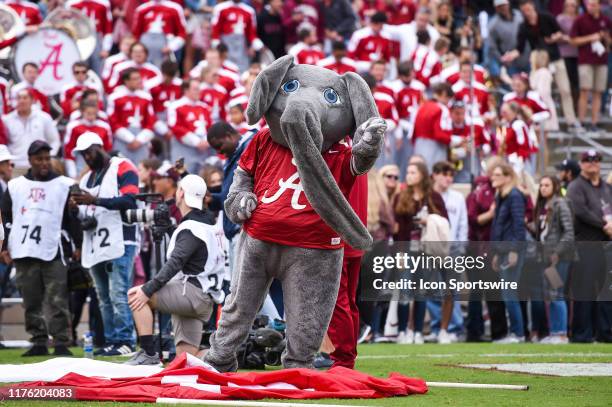 Big Al, the Alabama Crimson Tide mascot, gets ready to take the field before the college football game between the Alabama Crimson Tide and Texas A&M...