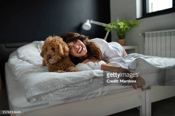 young woman and her dog of apricot puddles meet in the morning in bed - bedding stock pictures, royalty-free photos & images