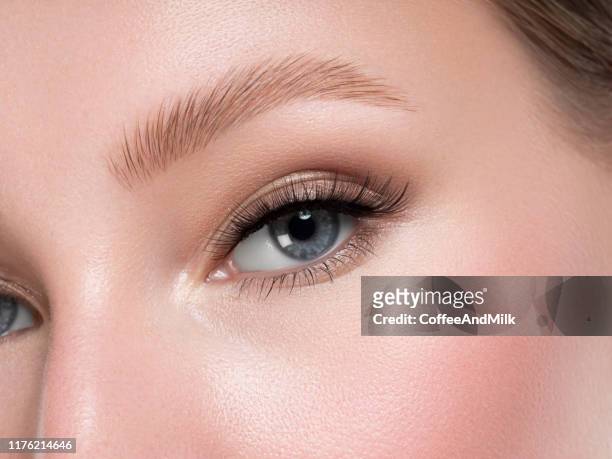 beautiful woman face - eyebrow stock pictures, royalty-free photos & images