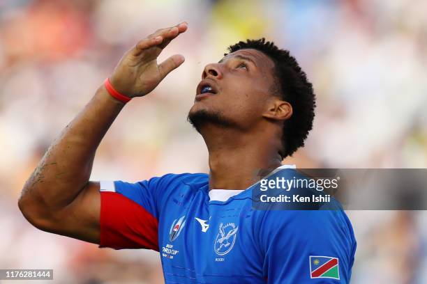 Chad Plato of Namibia celebrates scoring his side third try during the Rugby World Cup 2019 Group B game between Italy and Namibia at Hanazono Rugby...