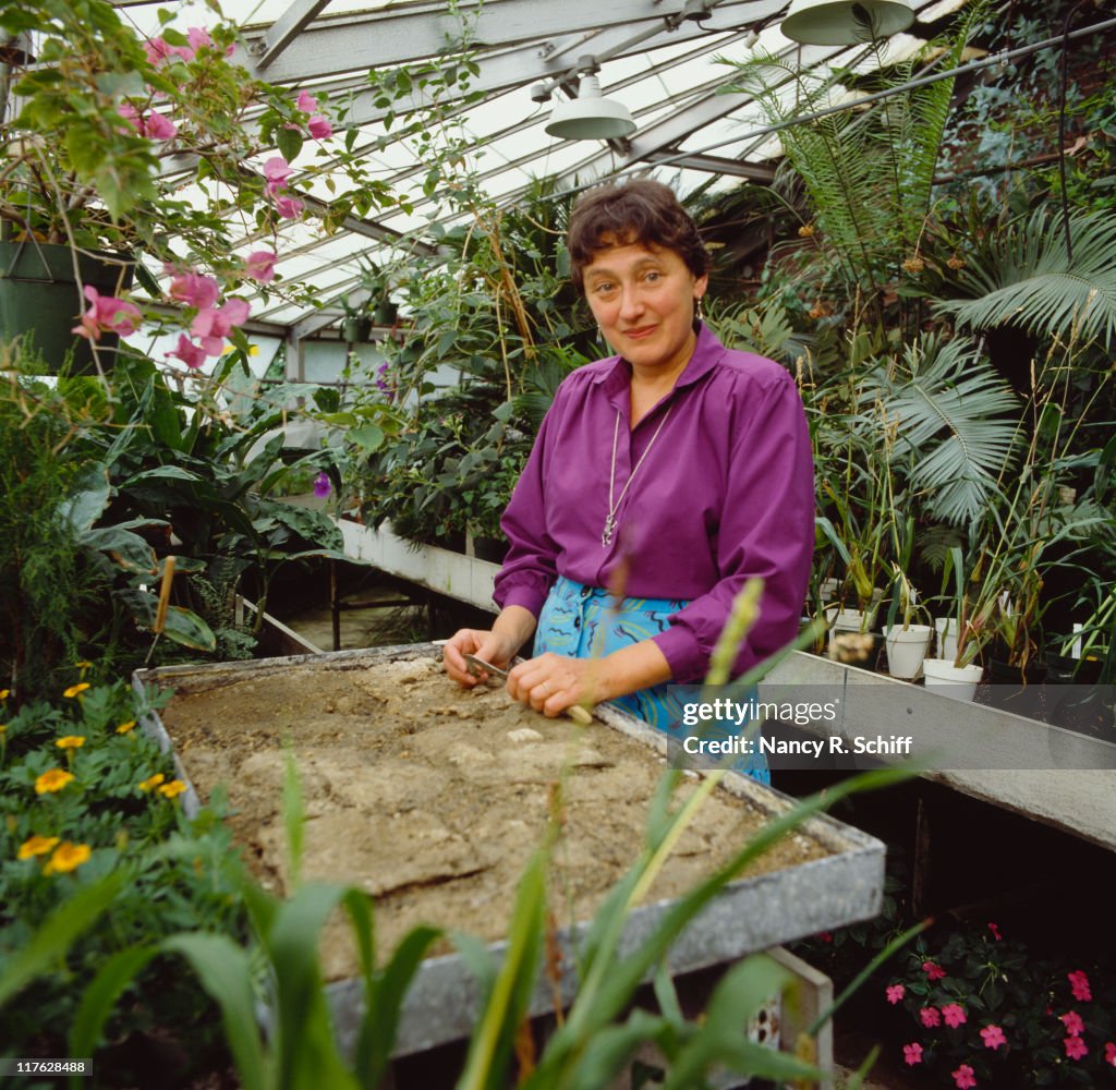 Lynn Margulis